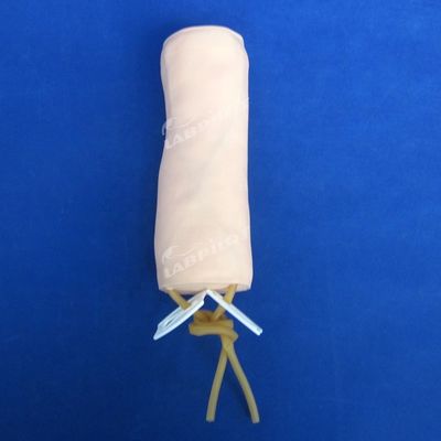 의학적 과학 진맥 절단 및 혈액 투혈 연습 모델 IV 팔꿈치 모델