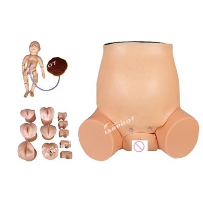 산부인과-산부인과 모델 산부인과 교육을 위한 임산부 관리 시뮬레이터