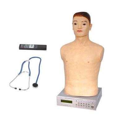 신체 검사를 위한 반 몸 인형 여성 어린이 특수 병원에서 가르치는