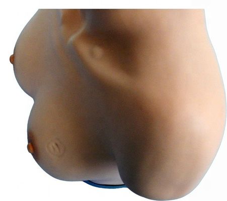 유방 검사 및 발작 시뮬레이터용 인형을 가르치는 조산기술 기술