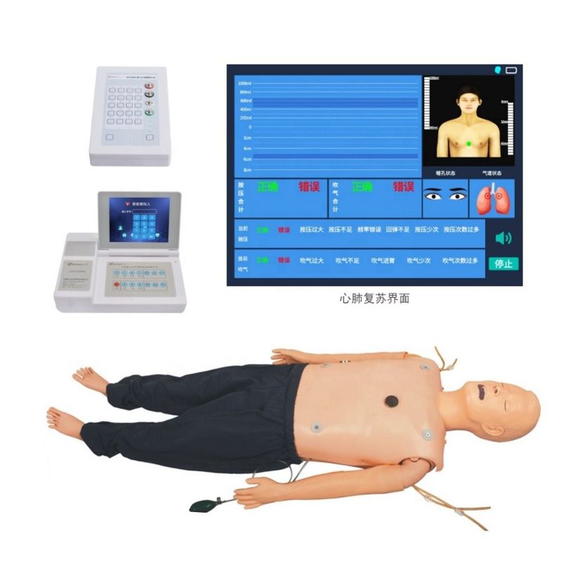 종합적인 응급 기술과 ECG 교육 항목을 위한 고급 생명 지원 마니킨