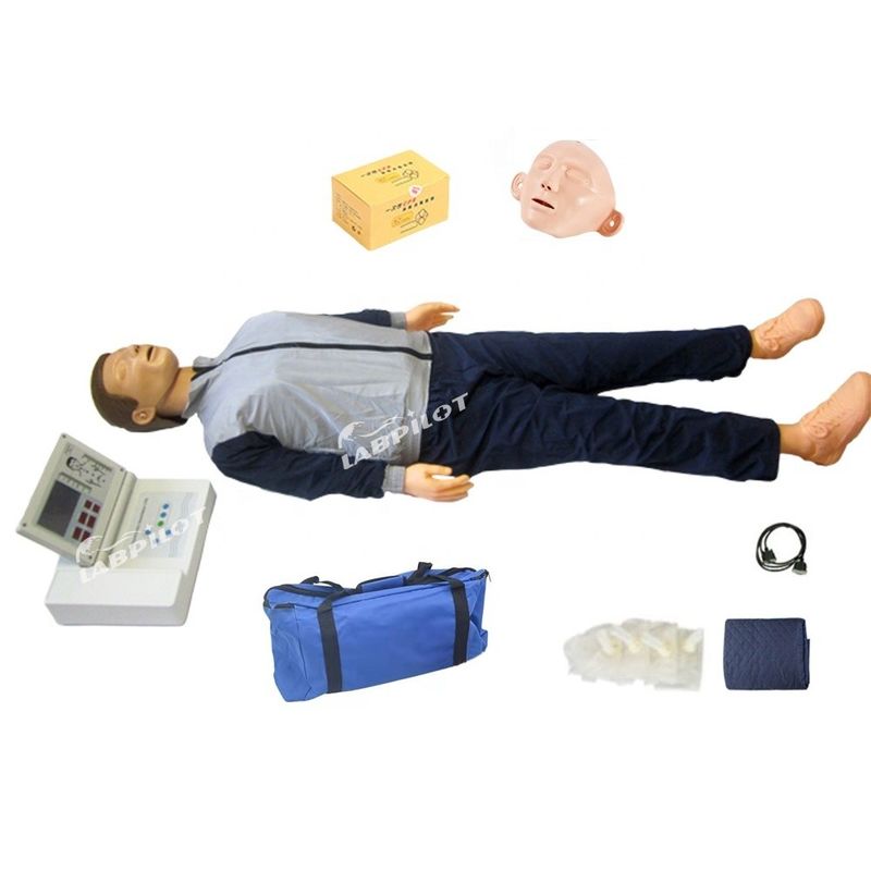 현실적인 인간 인형 대형 LCD 부활 교육 모델 성인 CPR 훈련