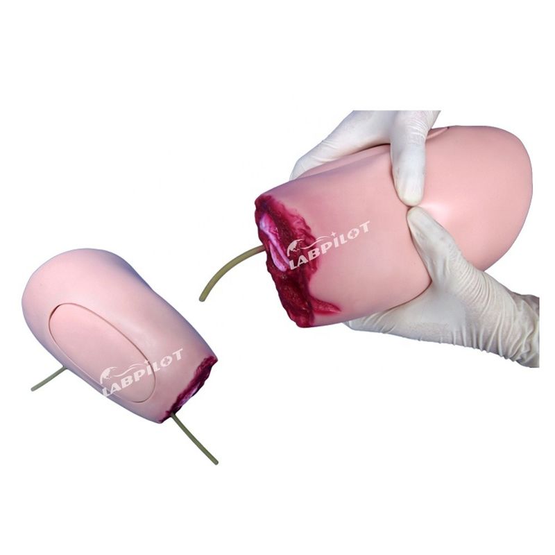고급 PVC 모델 하부 다리 외상 허벅지 절단 간호에 대한 이상적인 해결책