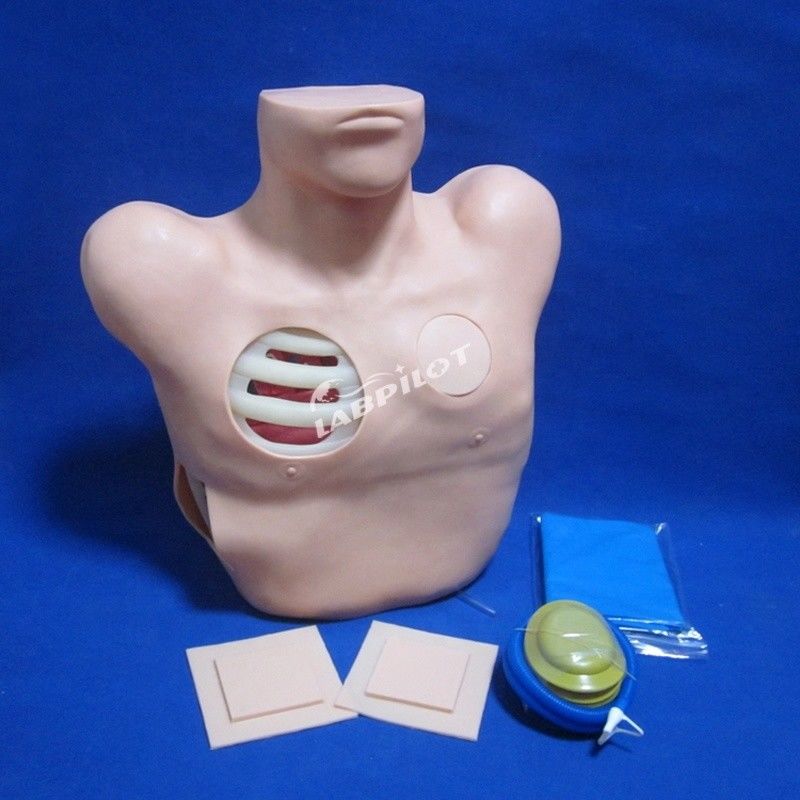 퓨라 펑크션 배수 및 흉부 수리 간호 훈련을위한 고급 PVC 마니킨