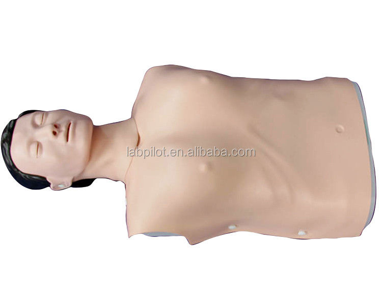 현실적인 인간 시뮬레이션 응급 기술 훈련 인형 남자 반 몸 CPR 인형
