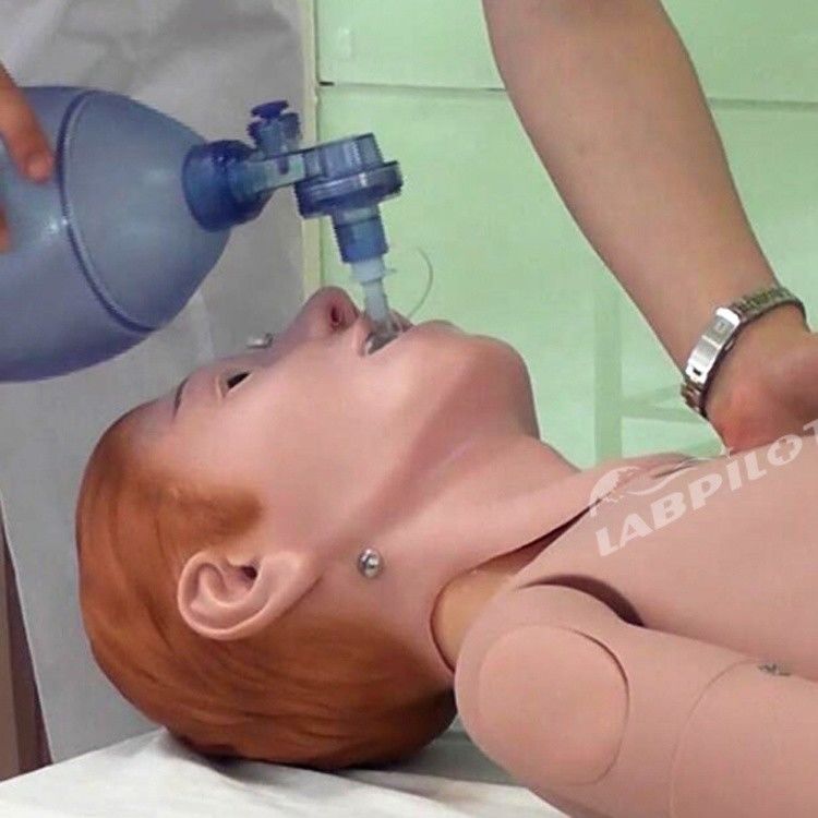 지능형 응급처리 훈련 인적 생명 크기의 인형 임상 간호 교육