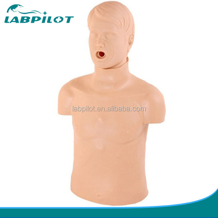 기본적인 응급 기술 훈련에 필요한 현실적인 인간 인형
