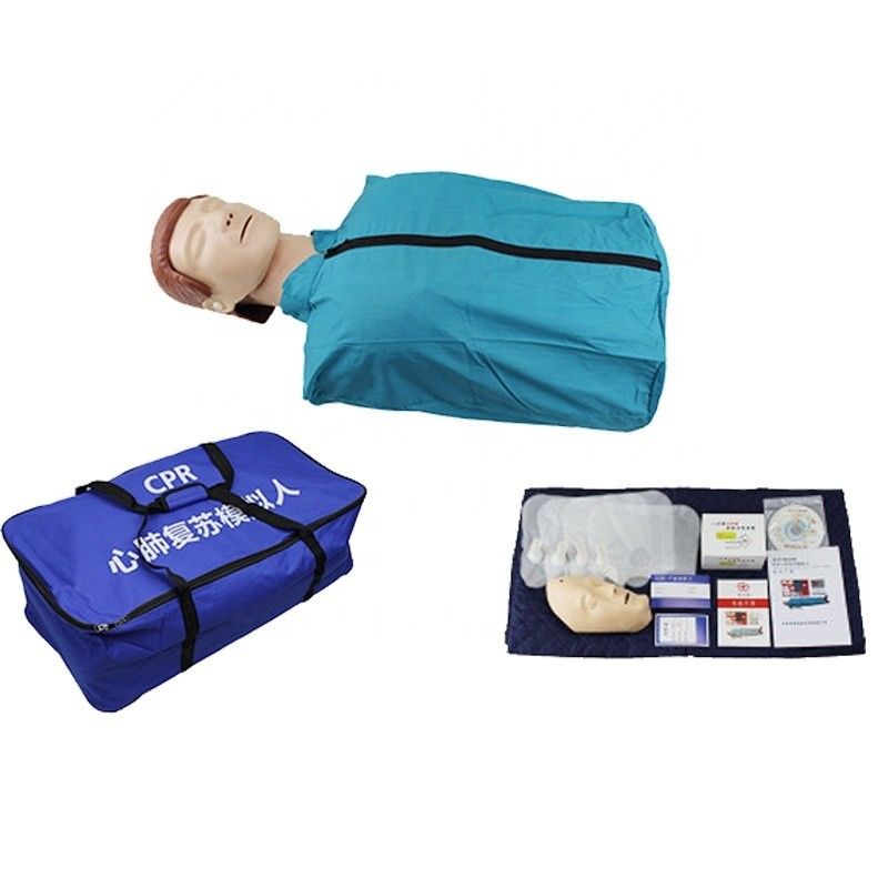 PVC 인간 생명 크기 반 몸 CPR 훈련 경제 CPR 연습을 위한 인형