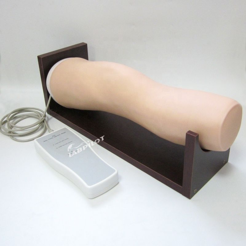 비비드 전자 무릎 관절 내 관절 주사 훈련 모델 임상 간호 기술