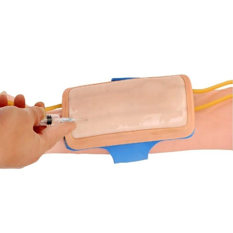 첨단 PVC 앞팔 진종 훈련 패드 IV 의학 과학용 주사 패드
