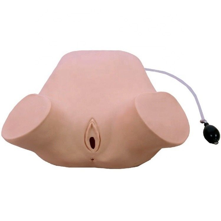 고급 PVC 다기능 네 가지 기동 레오폴드 모델 직관 및 질 검사 훈련 인형