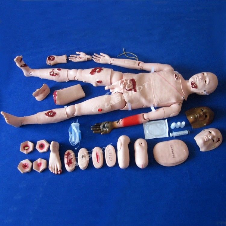 인간의 생명 크기의 외상 치료 및 상처 관리에 대한 포괄적 인 간호 인형