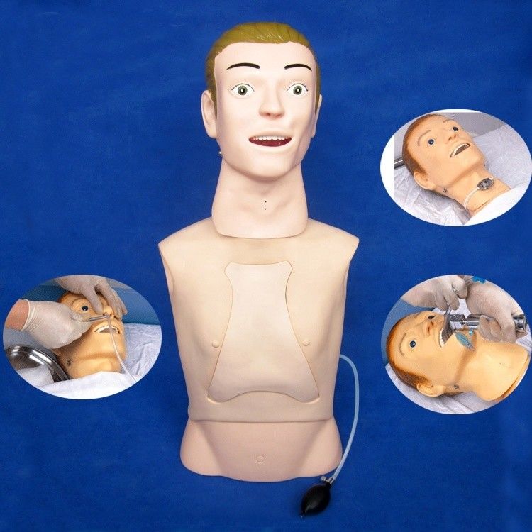 반 몸 인형 병원 내 코 위 먹이 치료 의 궁극적 인 교육 모델