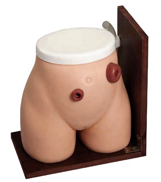 에니메마 기술 인형 교육 의료 비스투라 위장 치료에 대한 완벽한 훈련 도구