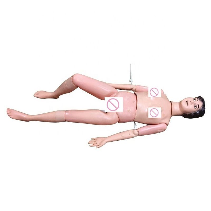 기본적인 부활과 간호 기술 훈련 인형 인간 생명 크기의 보호자