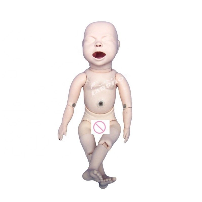 유연한 신생아 인형 의료 과학 교육의 궁극적인 교육 인형