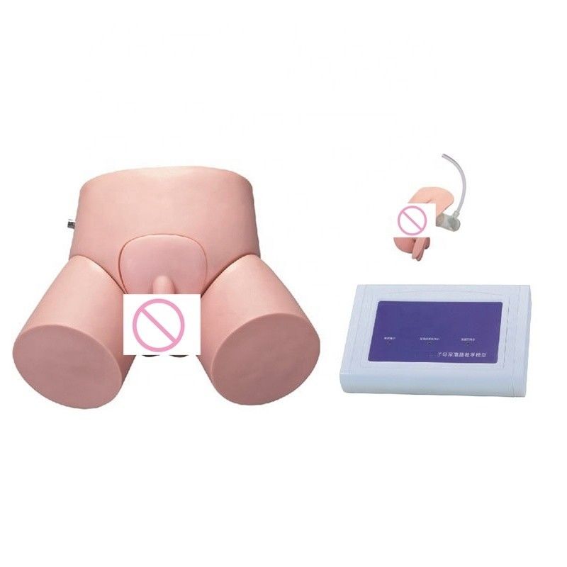 첨단 PVC 컨트롤러 작동 간호 카테테리제 인형 인간 생활 크기