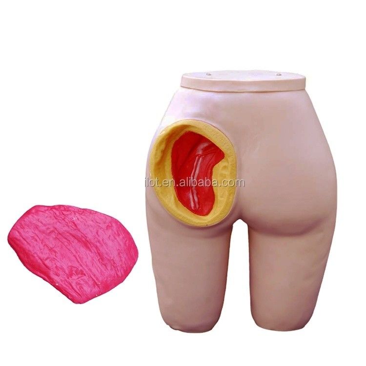 인간 생명 크기의 골티우스 인트라 근육 주입 훈련 모델 환자 돌봄 데모